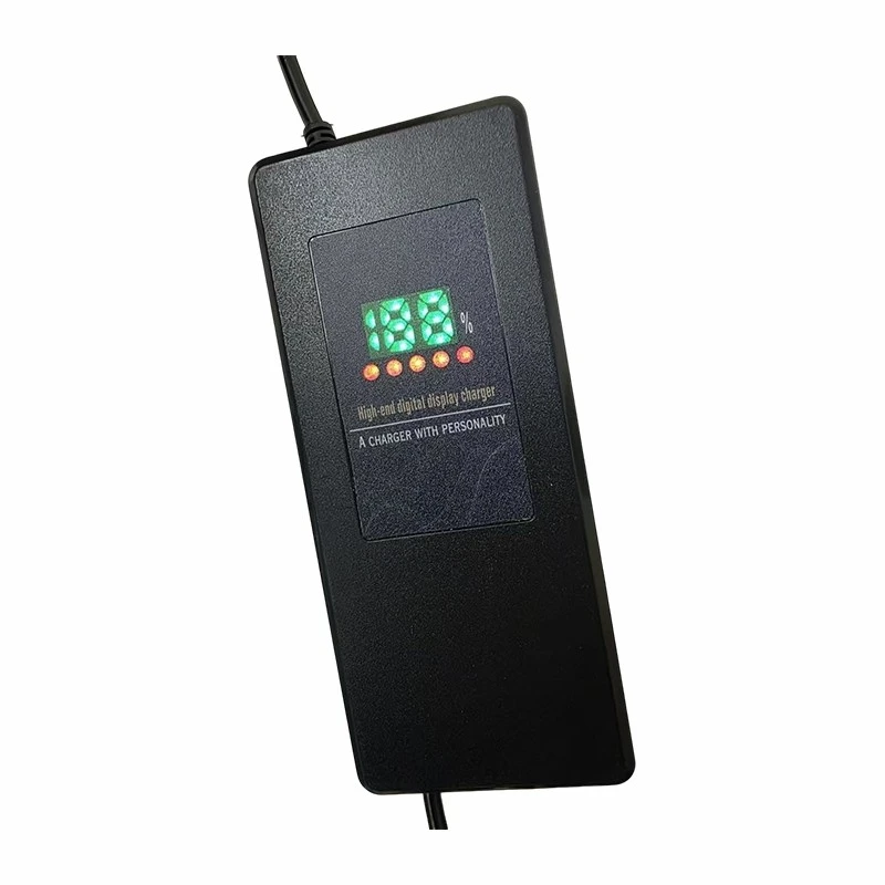 72v Lead Acid Battery Charger best