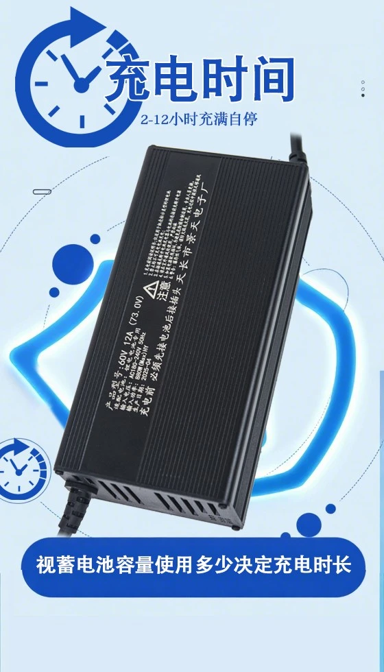 Aluminum Cased Sightseeing Vehicle Charger manufacturers